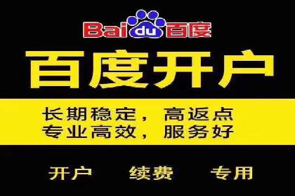 精准营销：百度推广平台的成功案例解析